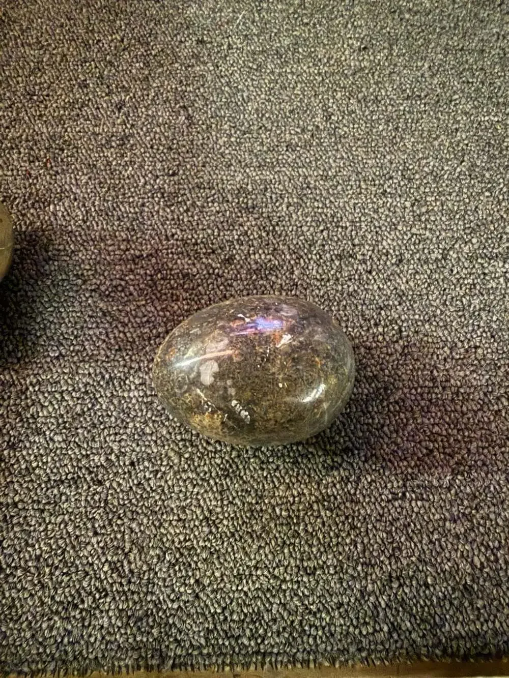 Set of Two Polished Orthoceras Fossil Marble Eggs